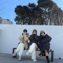 스테이솔올 이미지