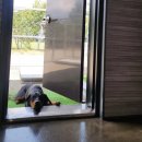 연우메디컬 이미지