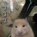 365셀프세차장 | 날씨도 좋고 내 기분도 좋고