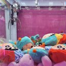 인형뽑기 성공(2026.6.25.)-맹구, 쿠로미, 스퀴시, 치이카와 등