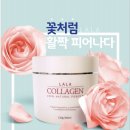 라라피쉬 이미지