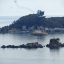 장호초등학교 이미지