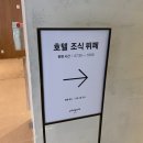 온도호텔 | 솔직하게 써보는 휘닉스파크 호텔 온도 조식뷔페 후기