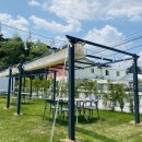 애견취향 이미지