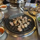 루시드 거누 이미지