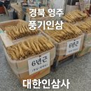 풍기인삼시장 | 경북 영주 풍기 인삼시장 믿고 사는 국내산 인삼 ‘대한인삼사’