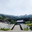 용화수 이미지