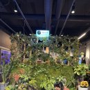 고기로 | 안산 맛집 육담 고기로 말하다 후기🔥 한돈 오겹살 + 육회냉면 조합 미쳤다