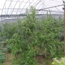 연기공소 이미지