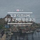 전씨금방 | 도쿄 디즈니씨 주말 오픈런 개망한 후기^^ (+불꽃놀이 우천 취소)