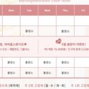 바비폴스튜디오