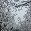 선녀와나뭇꾼 | 제주도 점집 안평암, 안갯속 같던 제 마음에 등불을 밝혀준 신점 후기