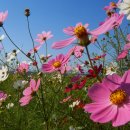 맑은아침 이미지