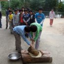 와석초교 이미지