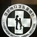 창원메디컬동물병원 이미지