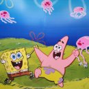 집게리아 이미지