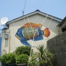 외연도둘레길 이미지