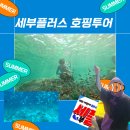 [세부]세부 호핑투어 - 세부플러스 호핑투어 찐 후기 (아이와 함께 하는 호핑 강추)