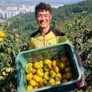 철이네농장 | 🍊 진영 철이네농원 부유단감