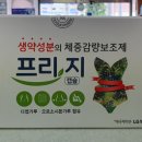 프리지