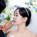 아모르스냅