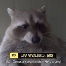 성동구제과제빵봉사단 | [서울 성동구] 세계제과제빵월드컵 1위 성수베이킹스튜디오 후기 | 서울 바게트 맛집 | 성수 빵지순례
