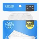 크린송