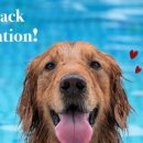 신세계리사이클링 이미지