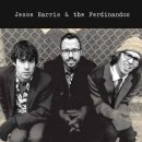 Jesse Harris & The Ferdinandos-Don't Know Why(1999) 이미지