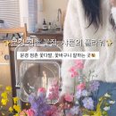 점촌플라워