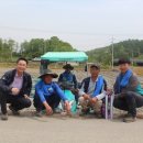 모내기 - 포천시 군내면 | 모내기