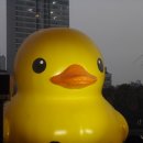 대 덕 사 이미지