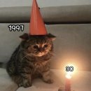 딸부자대게민박 | 행복해요 12월₊ ⊹ᯓ★