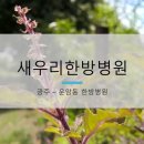 새우리한방병원 네이버블로그