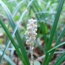 당두공원 이미지