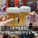 역전할머니맥주안양일번가점 | [호계동 술집] 남친이랑 시원하게 한잔! 역전할머니맥주 안양호계점 솔직 후기