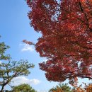 남산공원 이미지