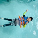 경희대 정 태권도 이미지