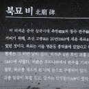 묘묘 이미지