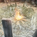 다나메드 이미지