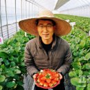 손씨농장 이미지