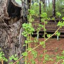 글쓰기 레시피, 봄 이미지