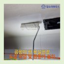 판교로31번길 | 수지구 풍덕천동 욕실 천장 곰팡이 제거 및 페인트 도장 작업