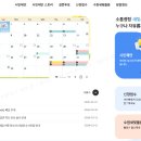 새빛