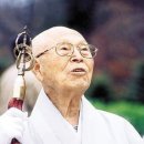 법보원 Daum카페