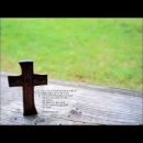 옥산로162번길 이미지