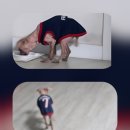 보비동물병원 이미지