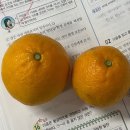 현다방 | ²⁵₁₂