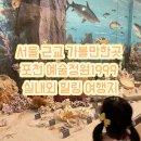 [슬기로운 예술생활] 예술로 해외 산책하기 | 서울 근교 갈만한곳 포천 예술정원1999 실내외 힐링 여행지