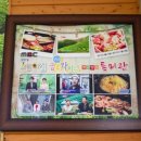 보성녹차사랑 이미지